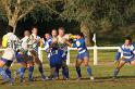 Rugby 195